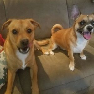 Meet your Posher, Leanne